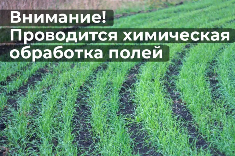 Сообщение  о  проведении химической обработки полей